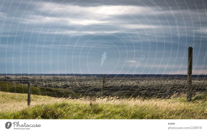 It's so quiet Environment Nature Landscape Elements Sky Horizon Summer Climate Weather Wind Grass Meadow Wood Exceptional Dark Uniqueness Blue Green Moody Fence