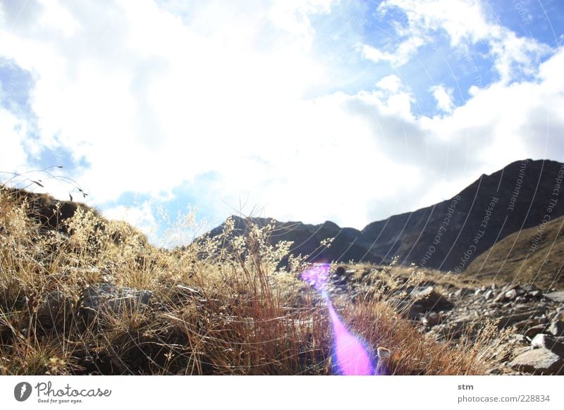 behind the seven mountains... Environment Nature Landscape Plant Elements Earth Sky Clouds Sun Sunlight Autumn Beautiful weather Grass Moss Leaf Blossom