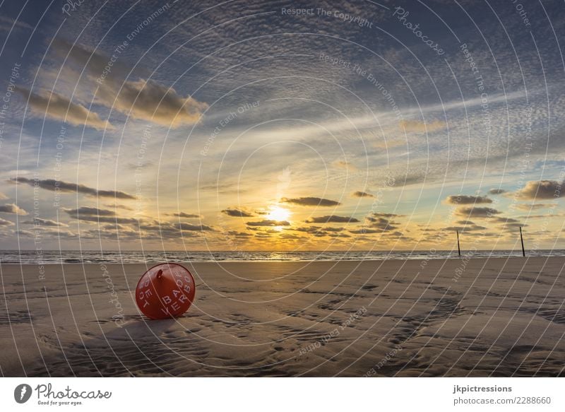 Saint Peter Ording Sunset Sky Dusk Ocean Landscape Nature Light Water Clouds Sand Evening Dreamily Far-off places Infinity Wooden stake Germany Europe North Sea