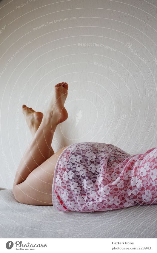 pink Human being Feminine Young woman Youth (Young adults) Bottom Legs Feet 1 Lie Brash Cute Pink Wait Partially visible Barefoot Couch Neutral Background