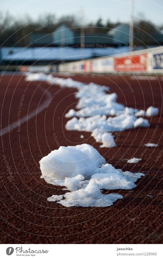 speed skating Sports Track and Field Sporting Complex Racecourse Winter Climate Weather Beautiful weather Ice Frost Snow Tartan Sporting grounds Cold Walking