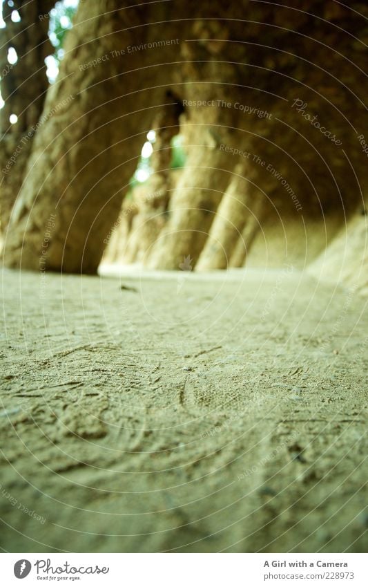 biting the dust Sand Barcelona Tourist Attraction Güell Park Stone Arch Ground Exterior shot Deserted Copy Space bottom Shallow depth of field Sightseeing