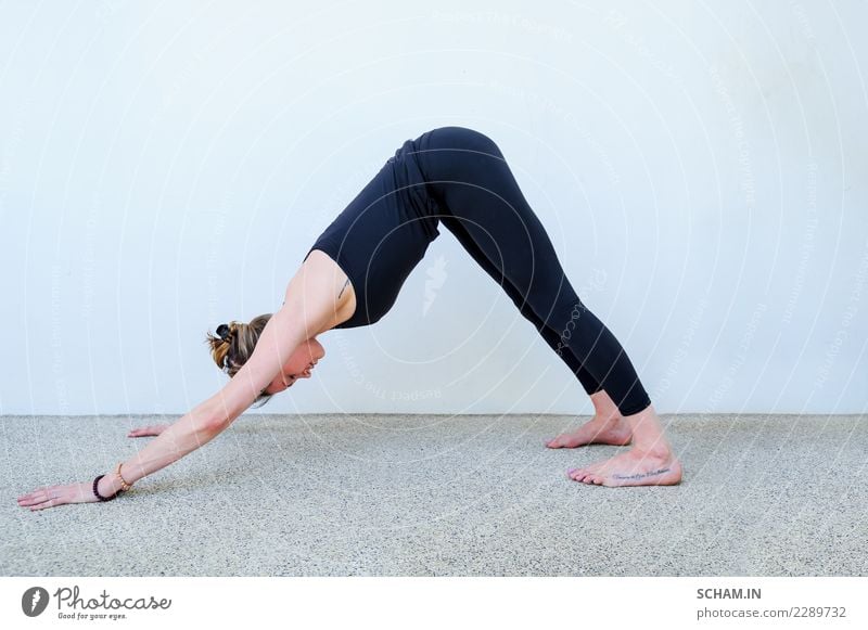 Yoga students showing different yoga poses. Lifestyle Relaxation Sports Adults Beard Sit Uniqueness Identity Yin Yang Yoga education adho mukha svanasana