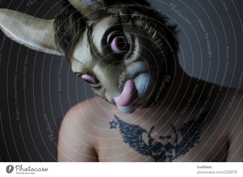 Carrots? Human being Woman Adults Skin Chest 1 Mask Hare & Rabbit & Bunny Looking Exceptional Creepy Cold Blue Brown Gray Watchfulness Carnival Colour photo