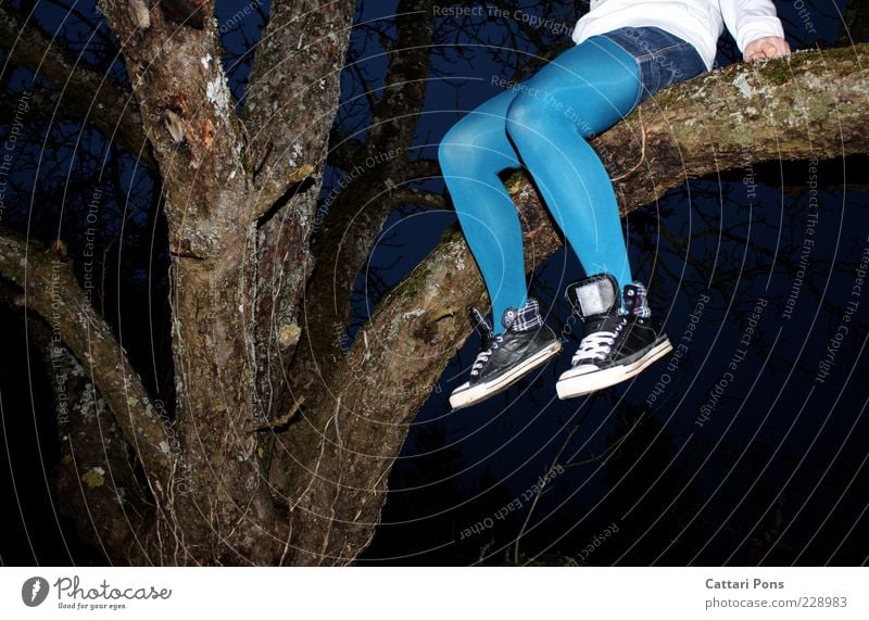 stay up Human being Feminine Young woman Youth (Young adults) Legs 1 Plant Tree To hold on Wait Blue Sit Footwear Tights Copy Space bottom Dangle Sneakers