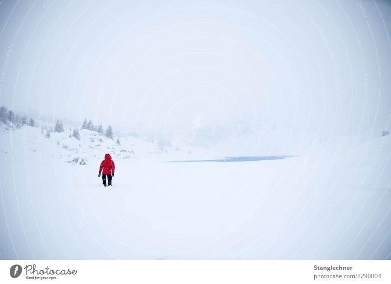 winter hike Healthy Health care Cure Winter Sports Jogging Landscape Lake Movement Walking Blue Emotions Happiness Körber Lake Hiking Snow Snowfall