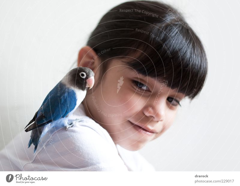 Hey little buddy! Child Girl Infancy Head 1 Human being 3 - 8 years Animal Pet Bird Parrots Parakeet Budgerigar Beak Feather Friendliness Happiness Beautiful