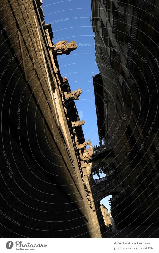 Barri Gothic 2 - Barcelona Catalonia Spain Old town Bridge Manmade structures Building Architecture Wall (barrier) Wall (building) Facade Tourist Attraction