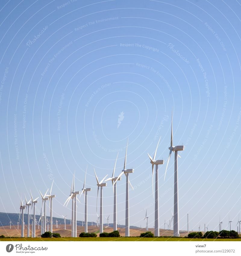 WindWorld Energy industry Technology Renewable energy Wind energy plant Energy crisis Environment Nature Landscape Summer Climate change Beautiful weather Plant