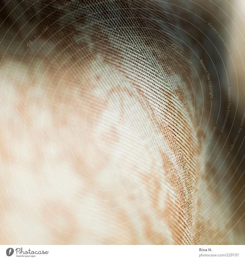 upholstery Sofa Authentic Elegant Cloth Textiles Structures and shapes Subdued colour Interior shot Copy Space left Copy Space bottom Shallow depth of field