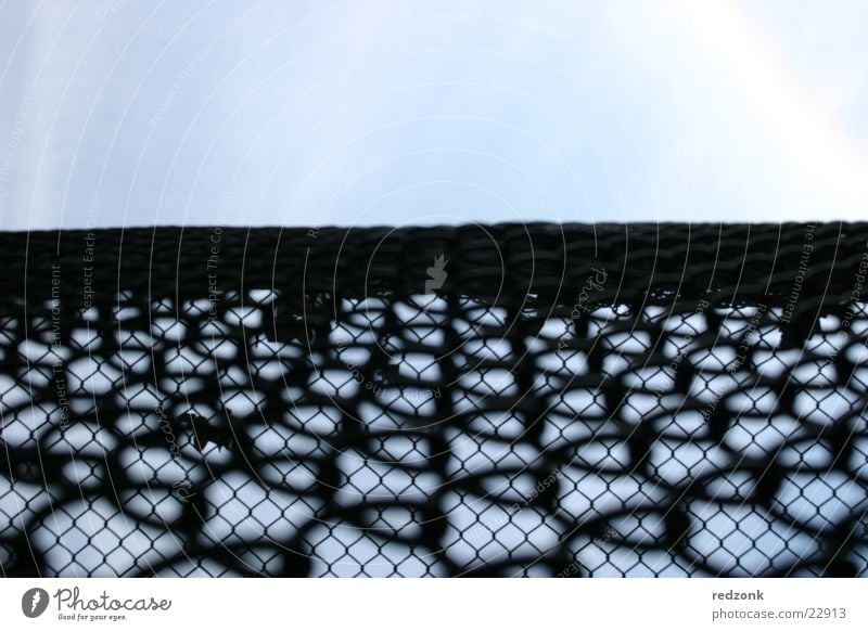 Freedom fence I Fence Grating Wire netting Fold Barrier Black Things Looking Sky Net Penitentiary Blue Perspective