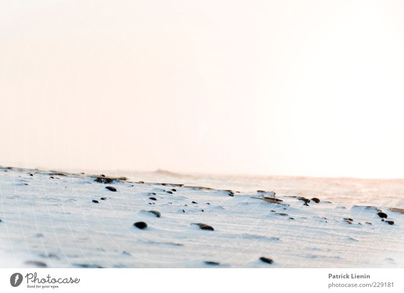 snow blind Environment Nature Landscape Elements Air Winter Climate Weather Bad weather Wind Snow Coast Beach North Sea Ocean Cold Bright Flashy Stone Snowscape