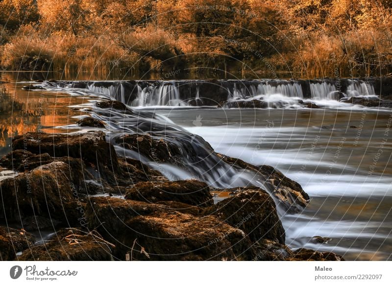 waterfall River dobra Croatia Beautiful Europe Rock Autumn Landscape Nature Panorama (View) Water Waterfall Yellow Long exposure Karlovac coupon Current