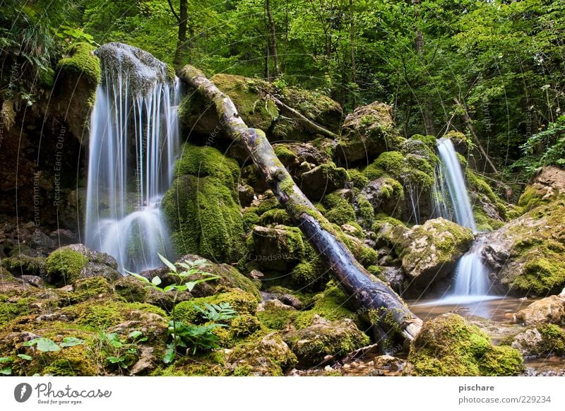 Bärenschütz Gorge II Environment Nature Elements Water Tree Moss Brook Waterfall Exotic Beautiful Green Contentment Calm Environmental protection Colour photo