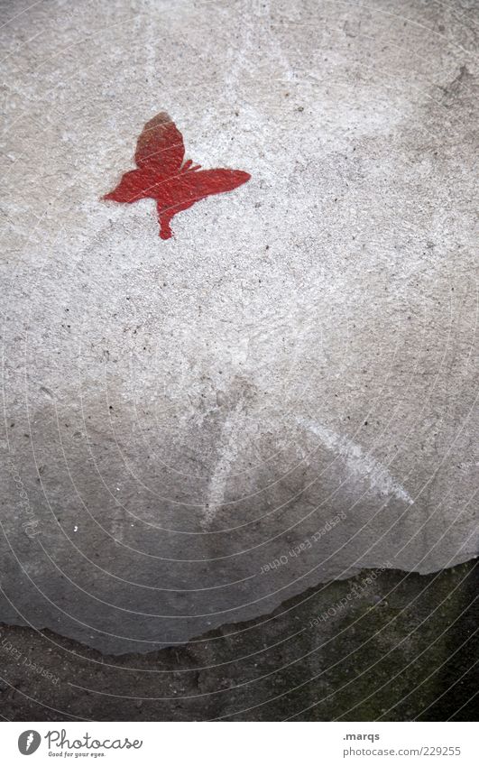 high achiever Wall (barrier) Wall (building) Sign Graffiti Exceptional Hip & trendy Uniqueness Gray Red Butterfly Silhouette Colour photo Exterior shot Close-up