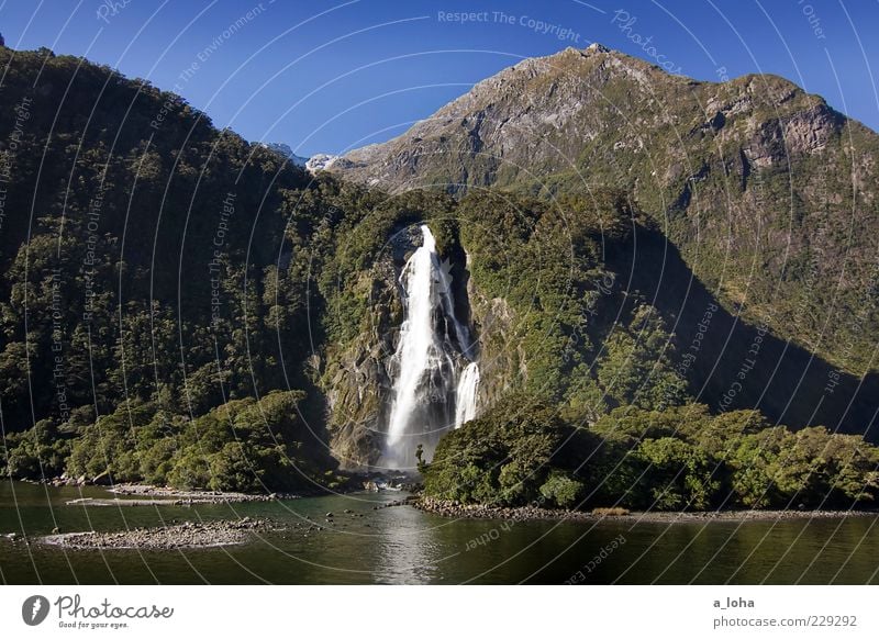 piopiotahi Nature Landscape Elements Water Cloudless sky Plant Rock Mountain Coast Fjord Waterfall Exceptional Famousness Wanderlust Fiordland National Park