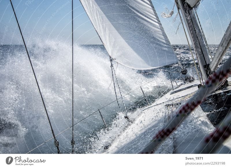 sailing Vacation & Travel Adventure Freedom Aquatics Sailing Water Drops of water Wind Waves Baltic Sea Boating trip Sailboat On board Maritime