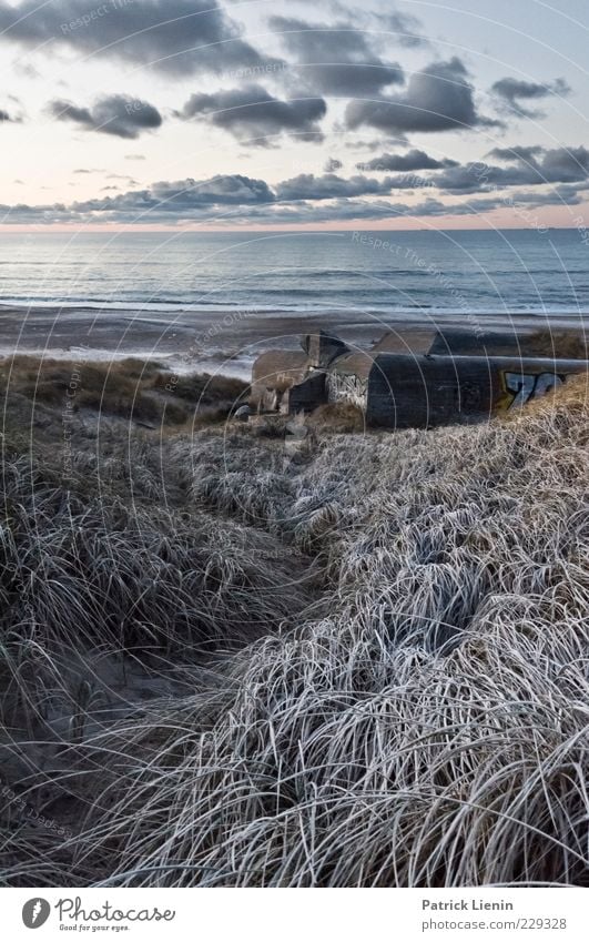 when winter comes Environment Nature Landscape Plant Elements Air Sky Clouds Winter Climate Climate change Weather Beautiful weather Wind Ice Frost Snow Bushes