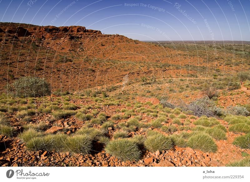 walking free Nature Landscape Plant Elements Earth Sky Beautiful weather Warmth Drought Bushes Wild plant Rock Mountain Peak Canyon Desert Natural Wanderlust