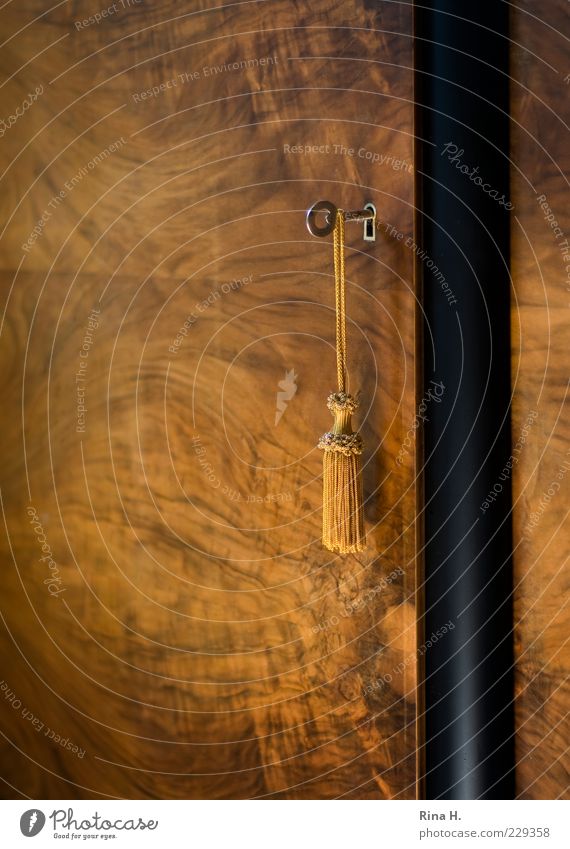 tassel Lifestyle Decoration Furniture Chest of drawers Hang Mysterious Key Tuft Colour photo Deserted Copy Space left Light Shallow depth of field Brown