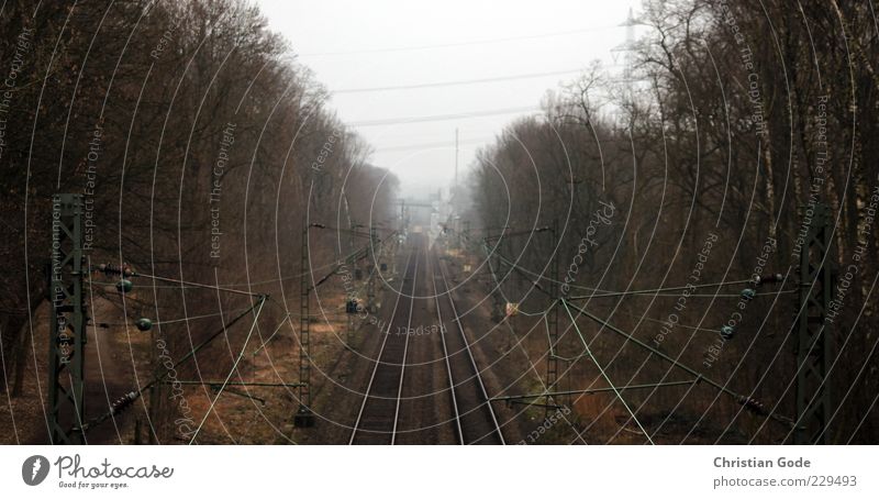 From Wattenscheid into the world Deserted Rail transport Railroad Railroad tracks Railroad system Brown High voltage power line Tree Central perspective