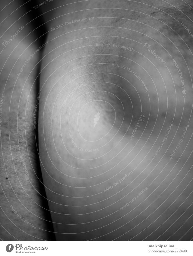 part Skin Legs Knee 1 Human being Round Dry Knee cap Pore Gooseflesh Blur Black & white photo Close-up Detail