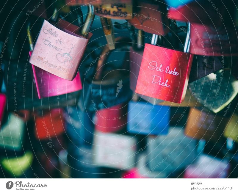 me you too (love locks Hohenzollern Bridge Cologne) Lifestyle Blue Brown Multicoloured Green Violet Red Lock vowed to love Many Lovers Iconic Heartrending