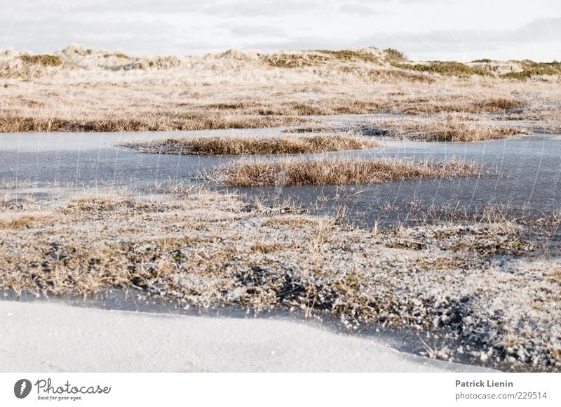 long long long winter Environment Nature Landscape Plant Elements Air Winter Climate Weather Ice Frost Snow Grass Bushes Hill Bright Cold Beautiful Puddle