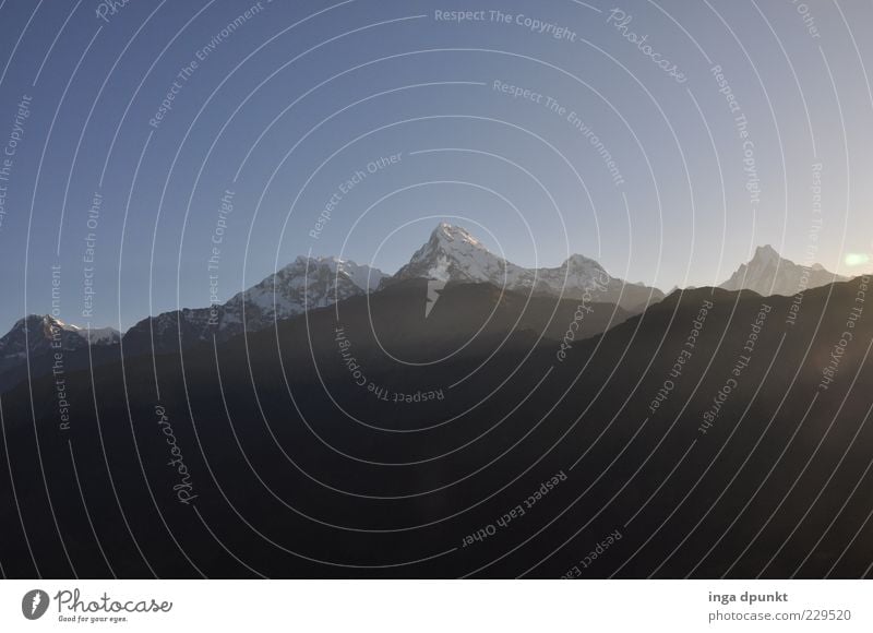 Annapurna Vacation & Travel Tourism Far-off places Freedom Snow Mountain Nature Landscape Cloudless sky Climate Beautiful weather Peak Snowcapped peak Cold