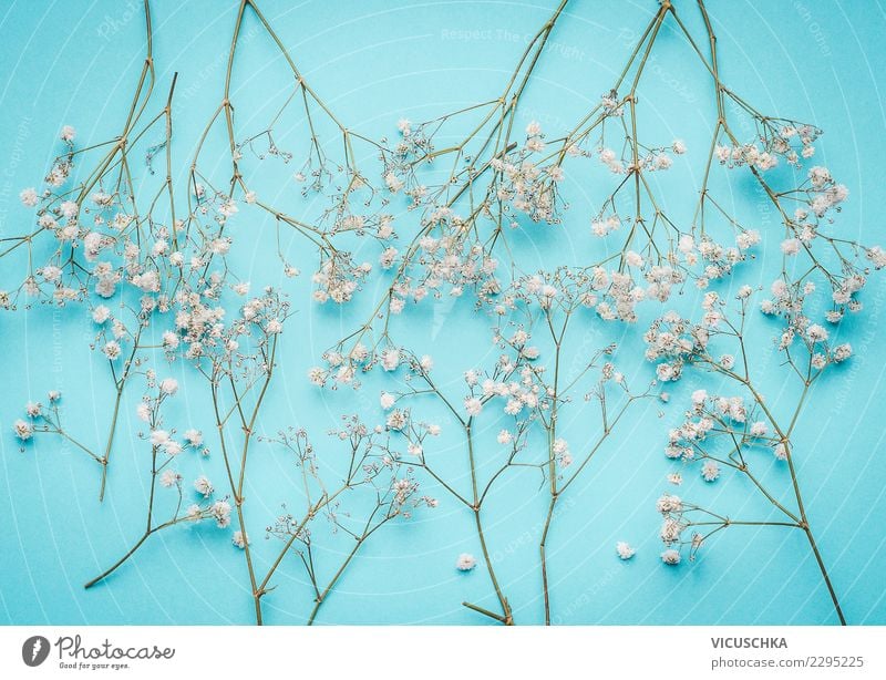 Small white flowers on turquoise Style Design Feasts & Celebrations Mother's Day Wedding Birthday Nature Plant Flower Decoration Bouquet Blue Turquoise White