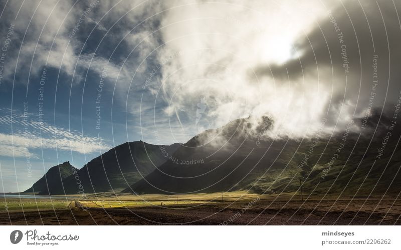 The ocean at the end of the lane Nature Landscape Elements Sky Clouds Sunlight Gale Grass Mountain Coast Fjord Iceland Lanes & trails Blue Yellow Green