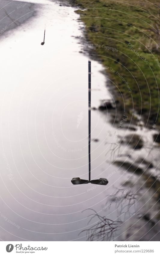 streetlights Environment Landscape Elements Water Sky Wet Street Lamp Reflection Puddle Grass Green Colour photo Subdued colour Exterior shot Deserted