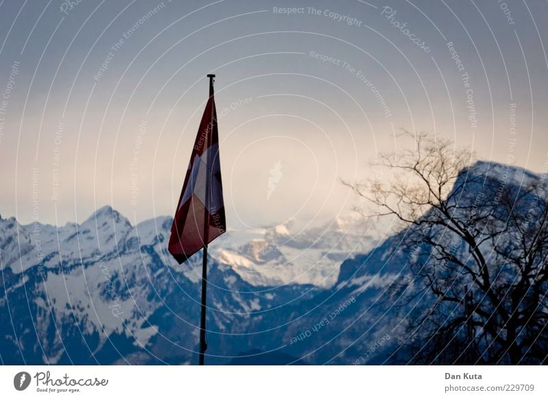 Winter off the peg Landscape Sunlight Ice Frost Snow Mountain Mount Säntis Snowcapped peak Flag Flagpole Switzerland Cold Blue Suspended Branchage