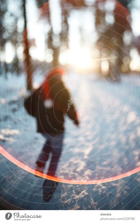 Let's go! Let's go! Let's go! Let's go! Winter Man Adults Back Nature Landscape Tree Forest Lanes & trails Cap Cold Perspective Dream world Tilt-Shift