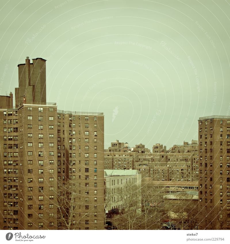 Brick Conglomerate II Overpopulated House (Residential Structure) High-rise Hideous Gloomy Poverty Town New York City Prefab construction Ghetto Window