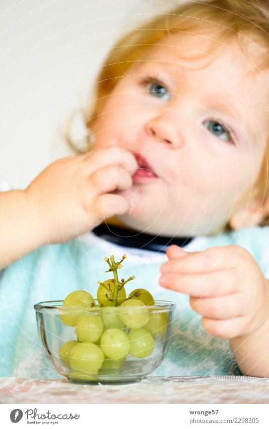 Sweet and juicy grape-eating kid. Food Fruit Bunch of grapes Eating Vegetarian diet Finger food Human being Child Toddler Girl 1 1 - 3 years To enjoy Fresh