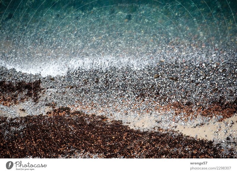 rocky Baltic coast Nature Landscape Earth Water Waves Coast Beach Baltic Sea Maritime Brown Gray Green Cliff Ocean Stone Bird's-eye view Landscape format Stony