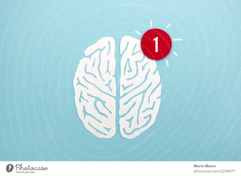 Brain made of paper with symbol for new message Study To talk PDA Head Brain and nervous system Think Communicate Exceptional Curiosity Blue White Wisdom