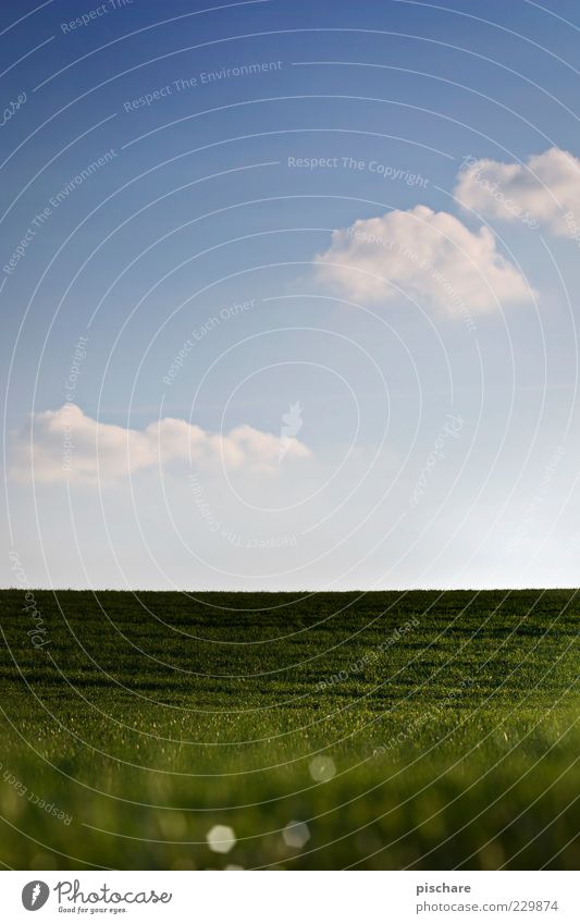 Greener Grass Nature Sky Clouds Spring Summer Beautiful weather Meadow Hill Natural Blue Idyll Calm Colour photo Exterior shot Copy Space top Day Sunlight