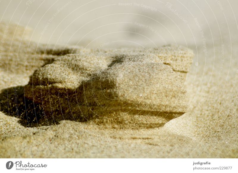 beach shapes Environment Nature Landscape Sand Beach Baltic Sea Warmth Fine Structures and shapes Formation Colour photo Exterior shot Deserted Day Light Shadow