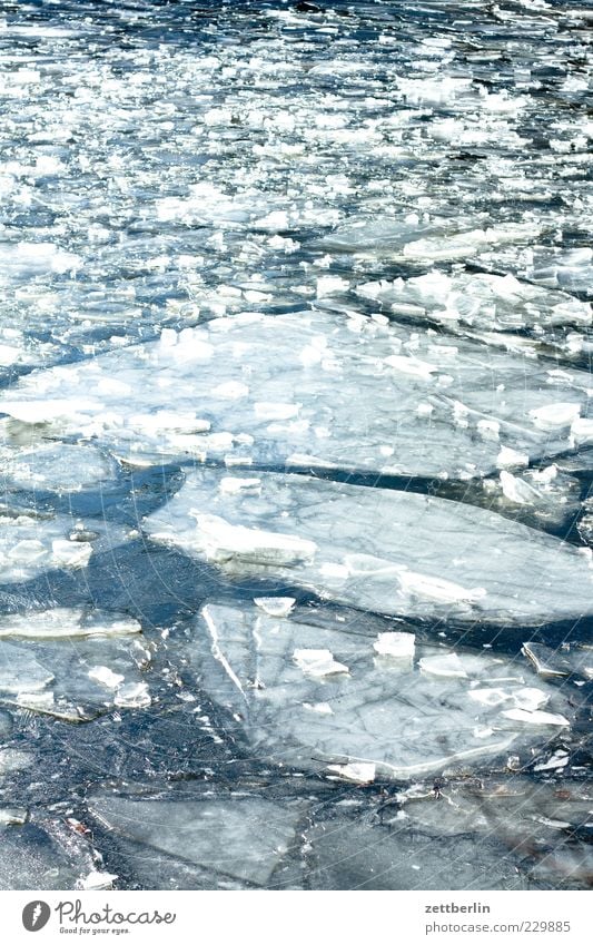 ice Nature Elements Water Winter Climate Climate change Weather Ice Frost Pond Lake Brook River Frozen surface Ice floe Thaw Colour photo Subdued colour