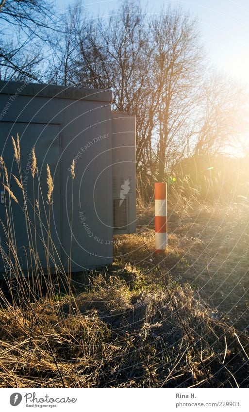 MobileMastSystemDetail Technology Advancement Future Telecommunications Nature Landscape Plant Sun Winter Beautiful weather Grass Field Illuminate Environment