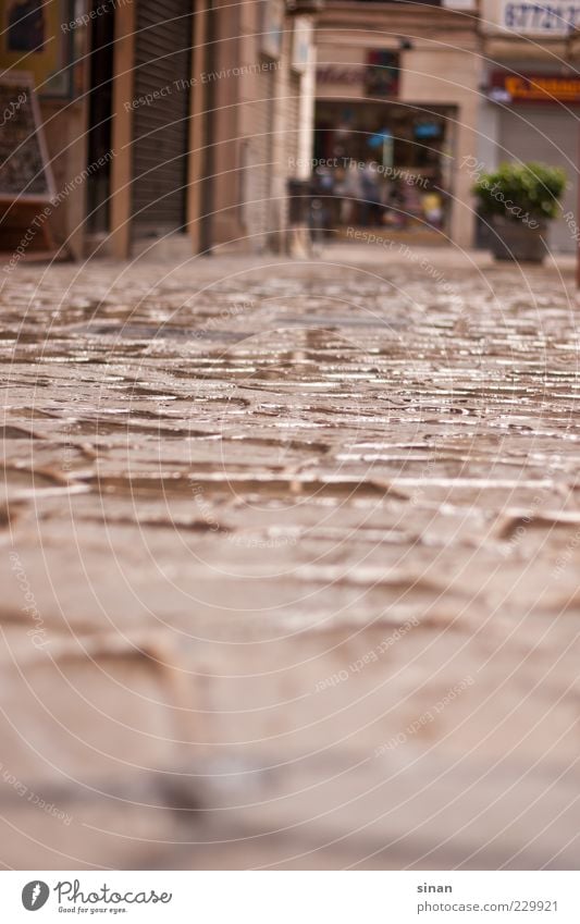 Spanish lane Palma de Majorca Spain Village Capital city Old town Deserted Esthetic Brown Gray Contentment Climate Paving stone Rain Colour photo Subdued colour