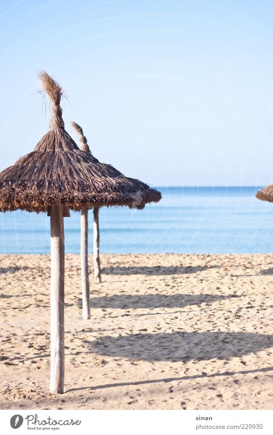 Sunshades on the beach Lifestyle Calm Environment Landscape Sand Water Sky Horizon Summer Beautiful weather Coast Beach Ocean Mediterranean sea Island Majorca