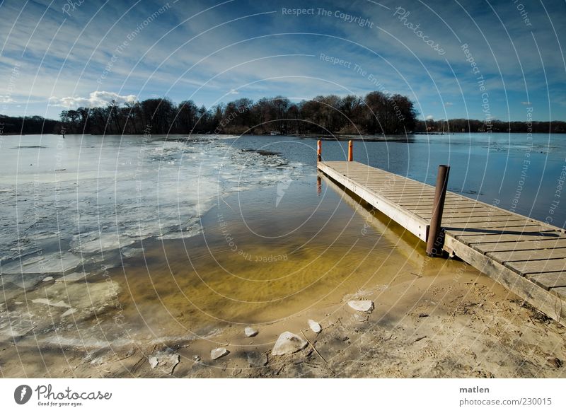 ice-free Landscape Sand Water Sky Clouds Sunlight Spring Beautiful weather Ice Frost Lakeside Bay Deserted Bright Blue Yellow Spring fever Forest Island