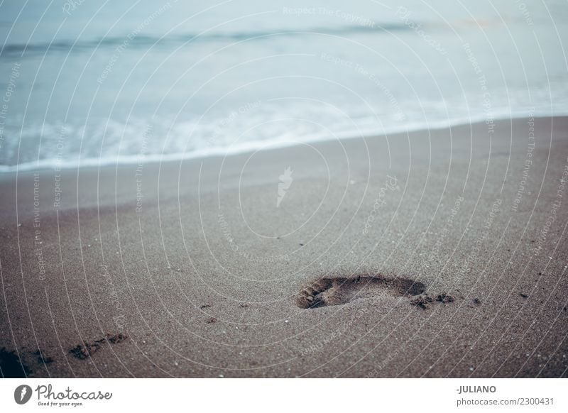 Footprints in the sands in summer Beach Dusk Emotions Happy Life Lifestyle Spain Summer Sun Sunset Warmth Freedom Joy Good Sand Feet Vacation & Travel