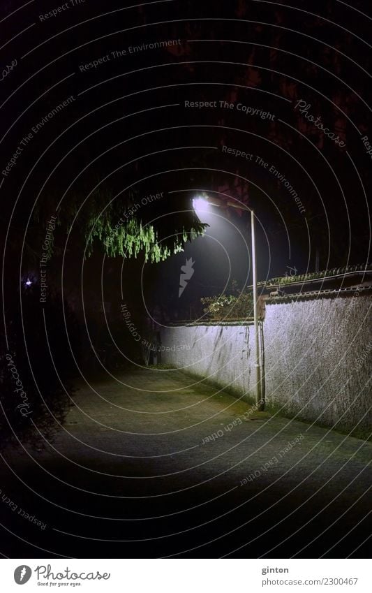 Lantern in the night Lamp Tree Leaf Dark Green Black Romance Surrealism night lantern Night shot Treetop illuminated leaves Things Lighting Street lighting off