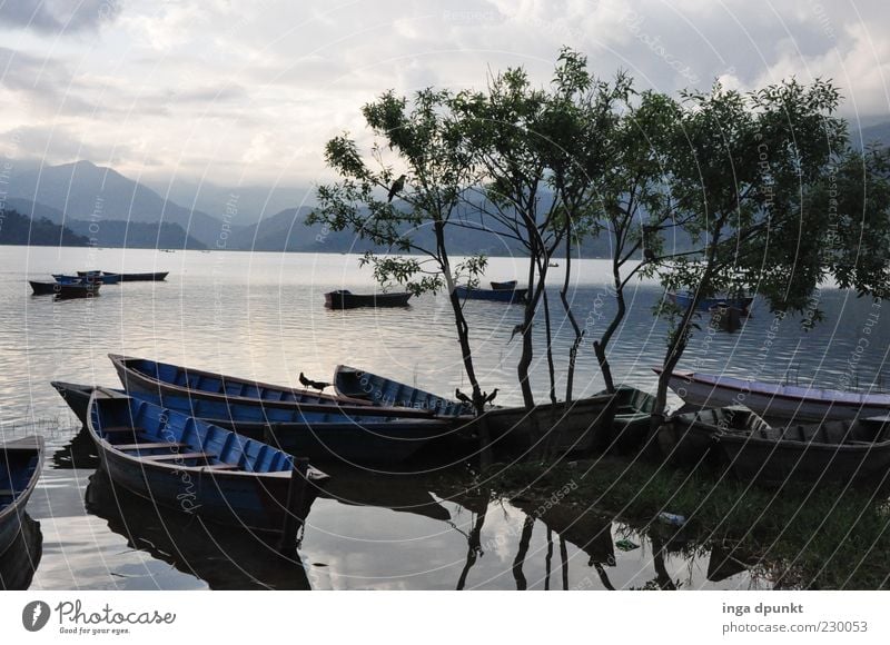 Lake Pokhara Rowboat Environment Nature Landscape Air Water Autumn Bad weather Tree Mountain Coast Lakeside Relaxation Dream Simple Purity Modest Wanderlust