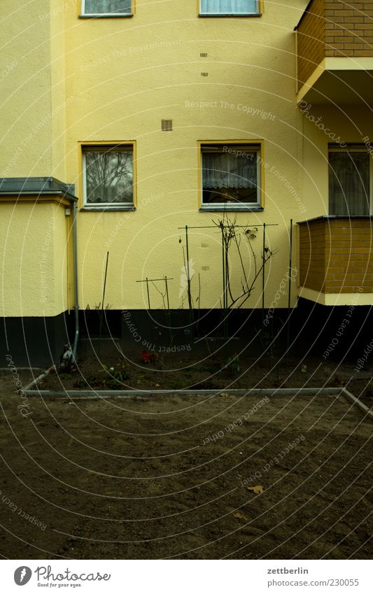 front yard House (Residential Structure) Garden Plant Facade Growth Yellow Schöneberg Front garden Residential area Colour photo Subdued colour Exterior shot