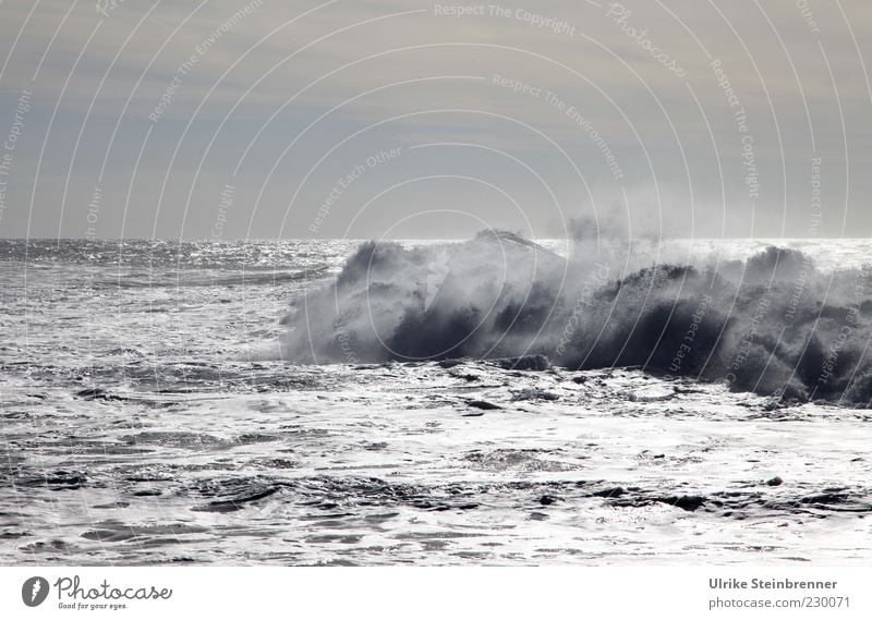 Stormy surf in the evening on Fuerteventura Nature Elements Water Drops of water Clouds Horizon Sunlight Weather Gale Waves coast Ocean Atlantic Ocean Island